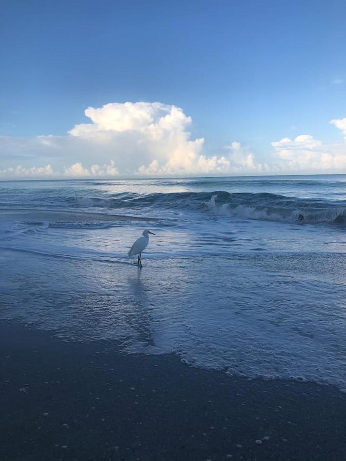 Naples Dream At Wtc With Heated Pool Spa Sauna 7 Bicycles And 3 Mls To Beach Exterior foto